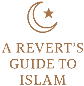 A Revert's Guide To Islam